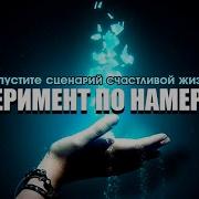 Эксперимент По Намерению