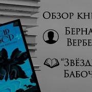 Вербер Звездная Бабочка