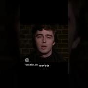 Песни С Зайчиком С 23Февраля
