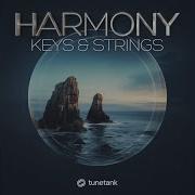 Harmony Keys Strings Yesterday