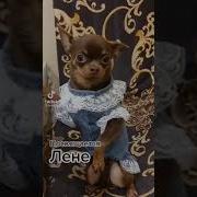 Лена Леночка Ленуся Как Богиня Ты Прекрасна