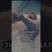Дахшати Азоби Кабр