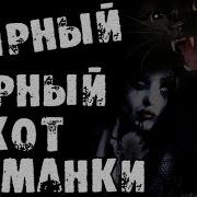 Чёрный Кот Страшные Истории На Ночь