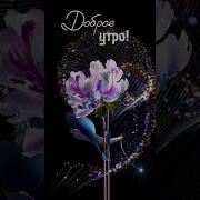 Доброе Утро Хорошего Дня Эти Цветы Для Тебя Good Morning Видео Открытка