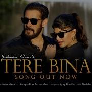 Salman Khan Tere Bina