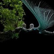 Anyma Cassian Save Me Feat Poppy Baskcomb Extended Mix