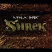 Opening To Shrek The Third Tc Copy