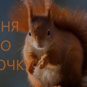Песня Про Белочку