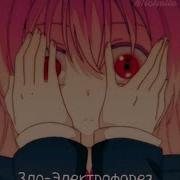 Зло Электрофорез Speed Up