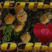 Творческая Студия Виктор Жёлтые Розы