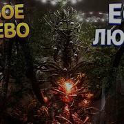 Перпетуум Атомик Харт