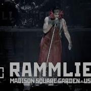 Rammstein Rammlied Acoustic