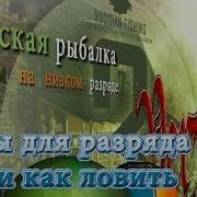 Пилорыл База Ганг Русская Рыбалка 3 7 4 Рр 3 7 4 Турнир Мв Максимальный Вес