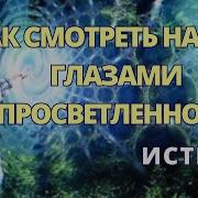 Мудрость Великих Учителей