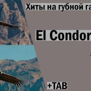 Полет Кондора На Губной Гармошке