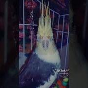 Иди Блять К Психиатру Пока Не Поздно