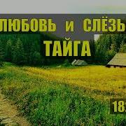 Коляныч Рассказы О Тайге