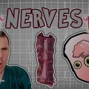 Science For Kids Body Parts Nerves Experiments For Kids Operation Ouch