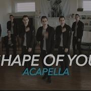 Shape Of You Acapella