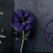 Сура Юсуф Красивое Чтение