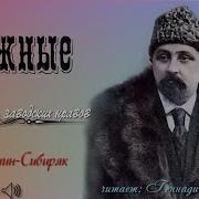 Мамин Сибиряк Дмитрий Блажные