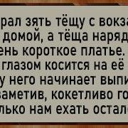 Как Зять В Машине На Тёщу Накинулся Сборник Свежих Анекдотов Юмор