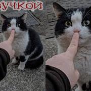 Моменты Не Твой