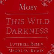 Moby This Wild Darkness Luttrell Remix Official Audio