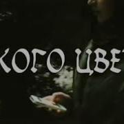 Каха И Серго Девушка Какова Цвета Ваши Воласы