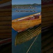 Волчьи Цитаты