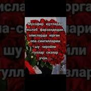 Мусофир Аёл Мусофир Аёллар Учун Бу Шеър