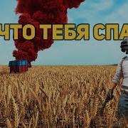 Песня Из Папка Тебя Спасет Сковорода Скачать Бесплатно