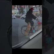 Мы С Приятелем Вдвоём Замечательно Живём