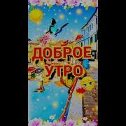 Доброе Утро Или Может Добрый День