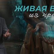 Я Так И Знал Что Так Будет