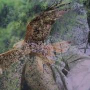А Маршалл Я Умею Прыгать Через Лужи