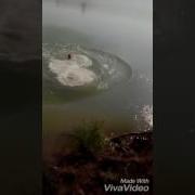 Парень Прыгает С Дерева Круто