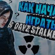 Как Начать Играть На Stalker Rp Server