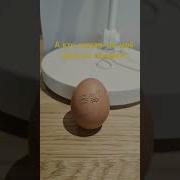 Кто Сказал Что Моё Яичко Не Танцует