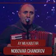 Нобовар Чаноров Ай Му Кабутар