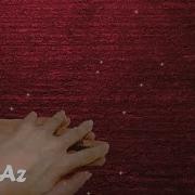 Rüzgar Əlimdən Tut Bərk Ft Aysel Alirza Lyrics Sözləri Hd