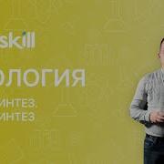 Фотосинтез И Хемосинтез 9 Класс