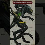 Xenomorph