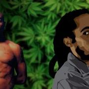 2Pac Ft Damian Marley Road To Zion Remix