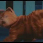 Мой Кот Поёт Эй Толстый