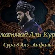 Мухаммад Курди Суратул Анфал
