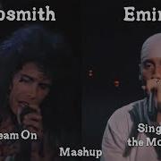 Eminem X Aerosmith Sing For The Moment Dream On Mashup Tiktok