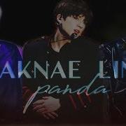 Bts Maknae Line Panda