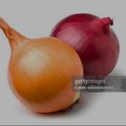Joost Klein Funny Onion Song