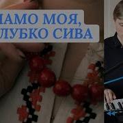 Мамо Моя Голубка Сива